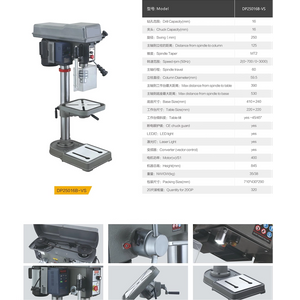 DP25016B-VS VARIO VARIO 